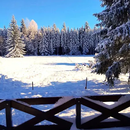 Mountain House Tadic 3 * Bajina Basta